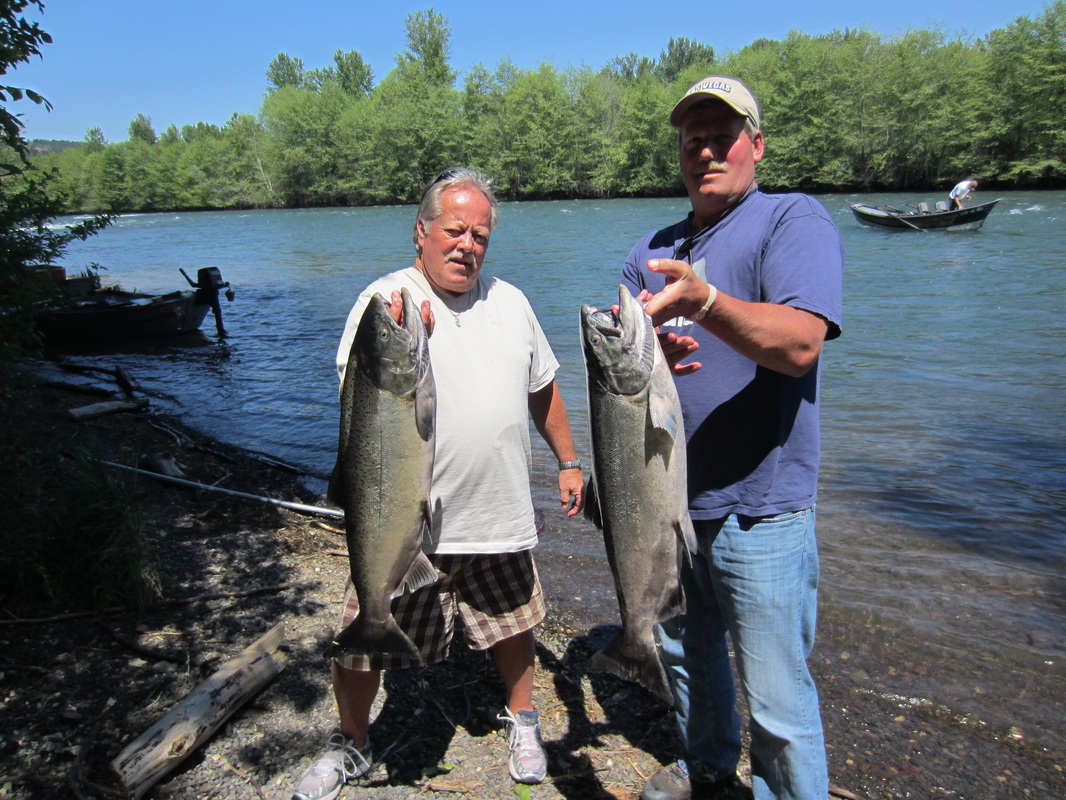 Rogue River Spring Chinook