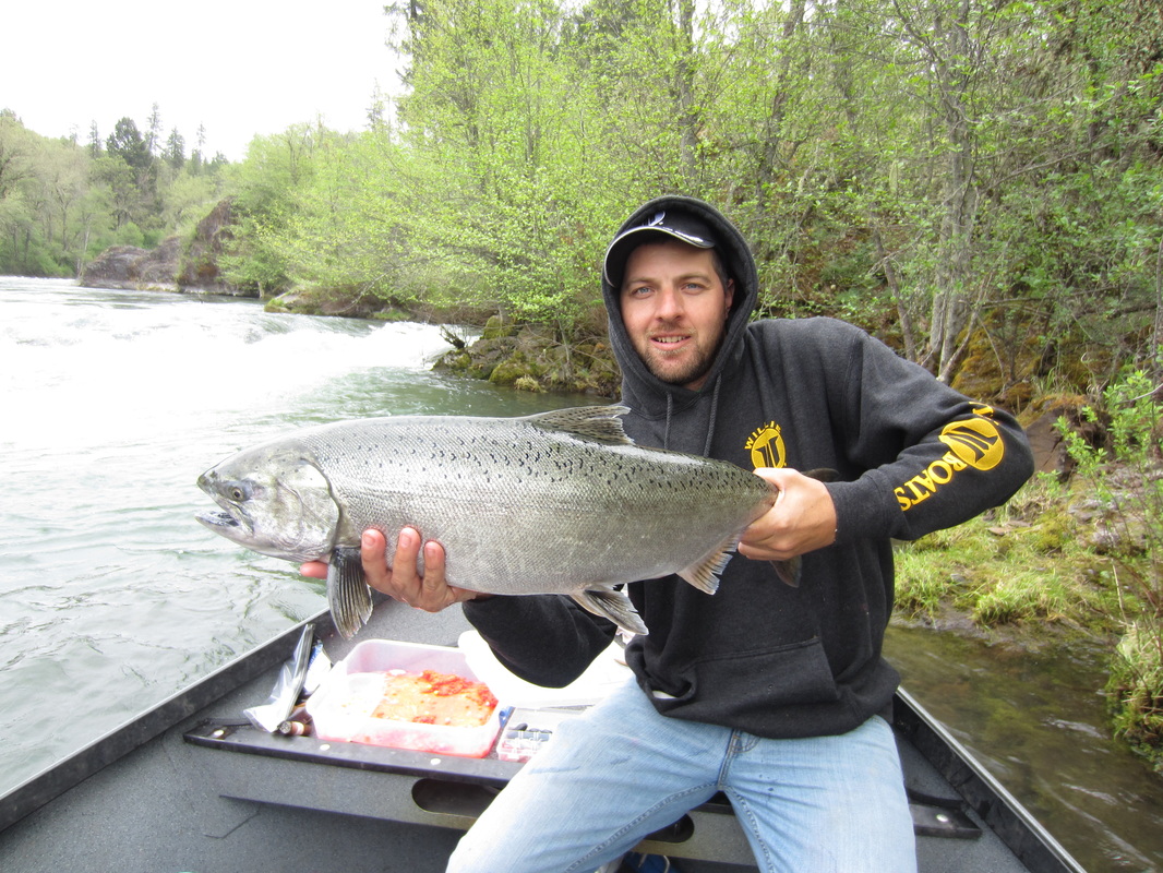 rogue river spring chinook