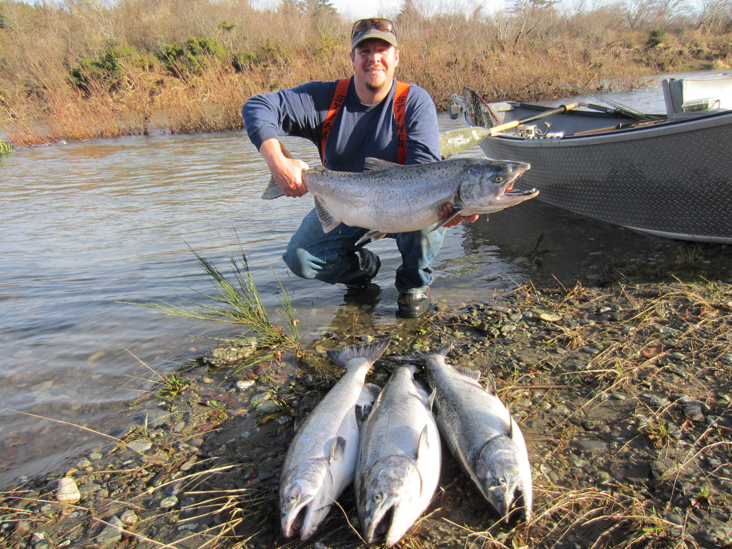 Elk river, limit of chinook salmon